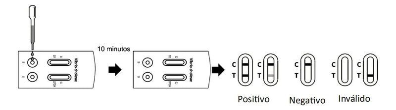 Certum Prueba Rápida para Cólera