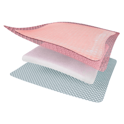 Smith & Nephew Apósito Allevyn Gentle Border De 10 CM X 10 CM