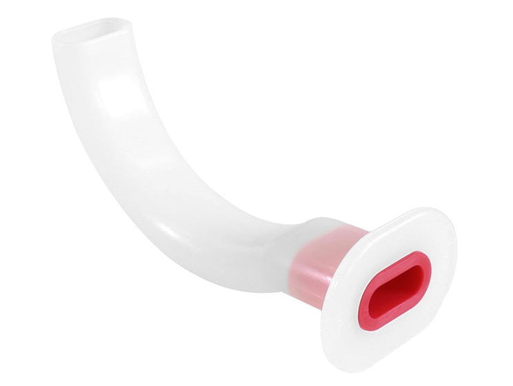 Westmed Cánula Guedel 2