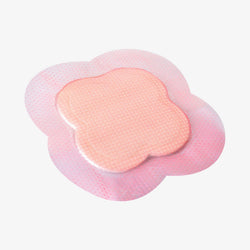 Smith & Nephew Apósito Allevyn Life De 21 CM X 21 CM