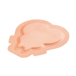 Smith & Nephew Apósito Sacro Allevyn De 22 CM X 22 CM
